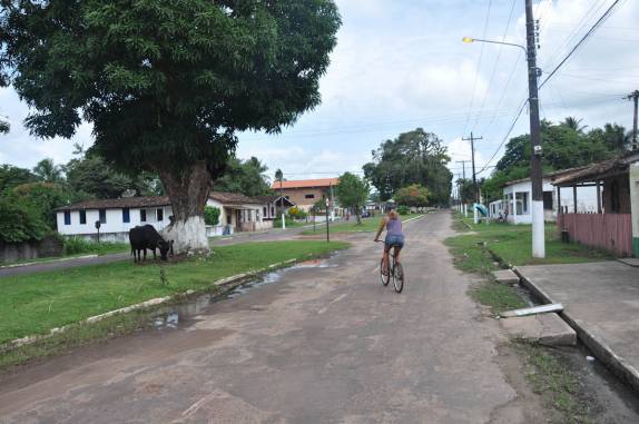 Pedalando ao lado de búfalos na cidade de Soure, na Ilha de Marajó - PA